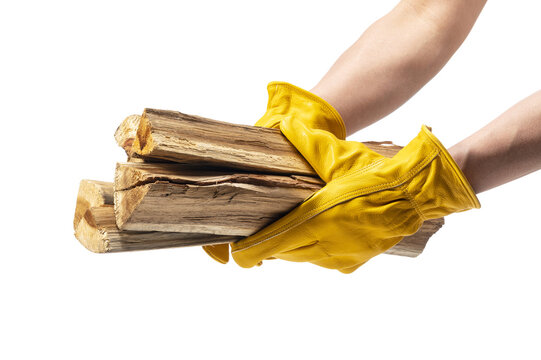 Hands in yellow leather gloves carrying firewood logs isolated on transparent background