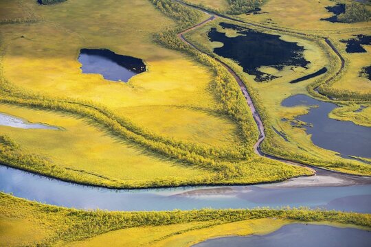 Close-up of the Rapadalen river delta, Rapa&auml;lv river, Sarek National Park, Laponia, Lapland, Sweden