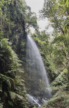 Waterfall, Barranco del Agua canyon, Laurel Forest of Los Tilos, La Palma, Canary Islands, Spain