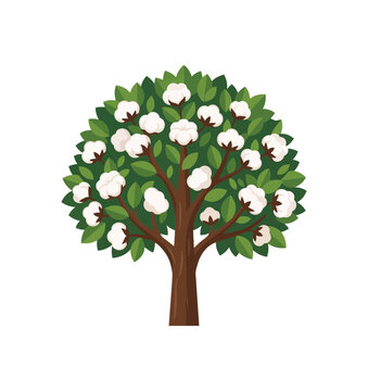 Illustration of a Cotton Plant Tree with Bolls.