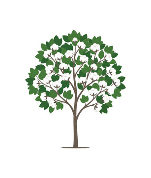 Stylized Cotton Tree with White Bolls and Green Leaves.