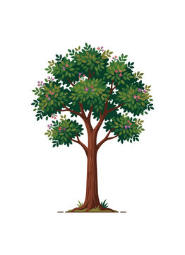 Vibrant Green Tree with Lush Foliage and Sturdy Trunk.