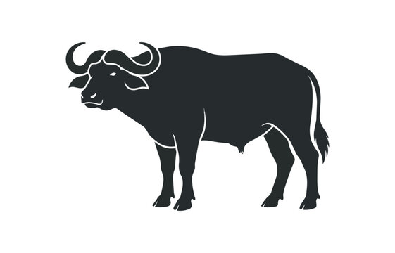 Silhouette of a powerful African buffalo standing majestically.