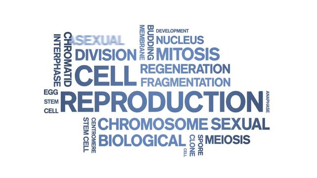 Cell Reproduction animated word cloud-animation tag kinetic typography seamless loop.