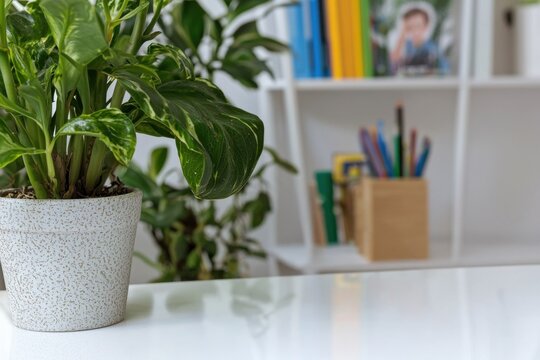 A green houseplant in a white pot sits on a clean white desk with a blurred background of books and stationery.