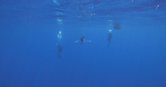 Boat topside as the cameraman goes down to an Oceanic White tip Shark swimming in-between two divers near Cat Islands, Bahamas.