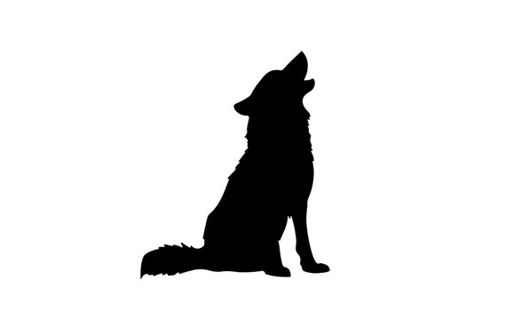 A solid black silhouette of a wolf sitting down and howling upwards with a fluffy tail and textured fur details.
