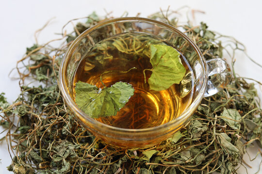 Herbal gotu kola tea with dried leaves