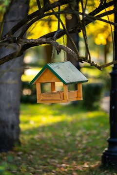 Wooden bird feeder hanging from a tree branch in sunny autumn park