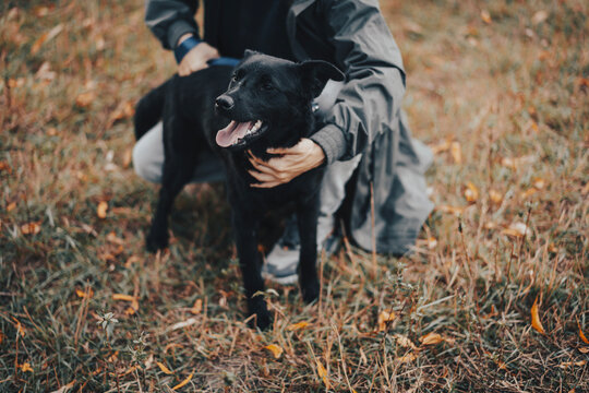 Front view closeup of happy black dog face being hugged from behind by owner on autumn day