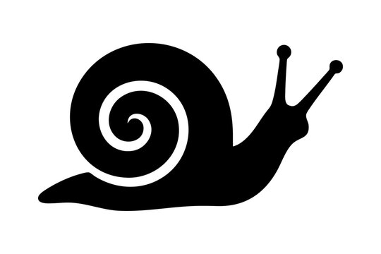 Snail With Spiral Shell Black Silhouette on Transparent Background