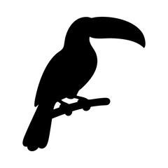 Toucan Bird Profile Black Silhouette on Transparent Background © FutureStock Studio