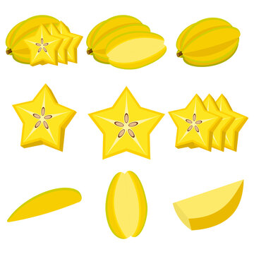 Starfruit Vector Illustration Set
