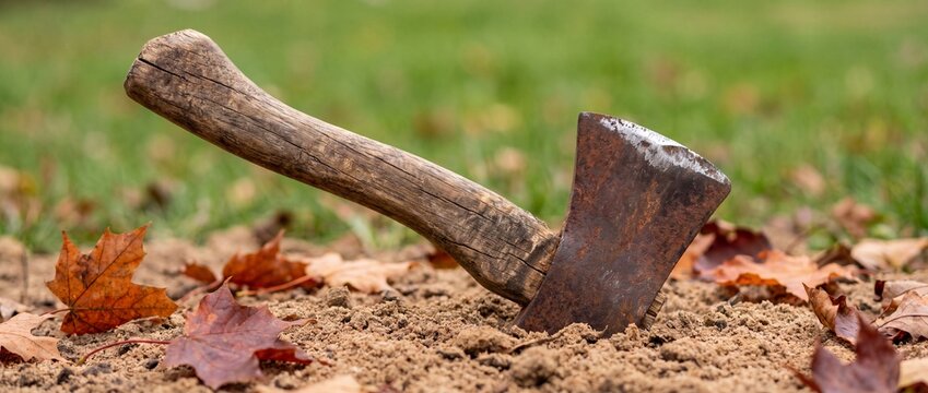 An old rusted metal axe with a wooden handle stuck into soil with autumn leaves with ground surrounded scattered handle embedded sandy leaves garden setting axe weathered aged metal construction