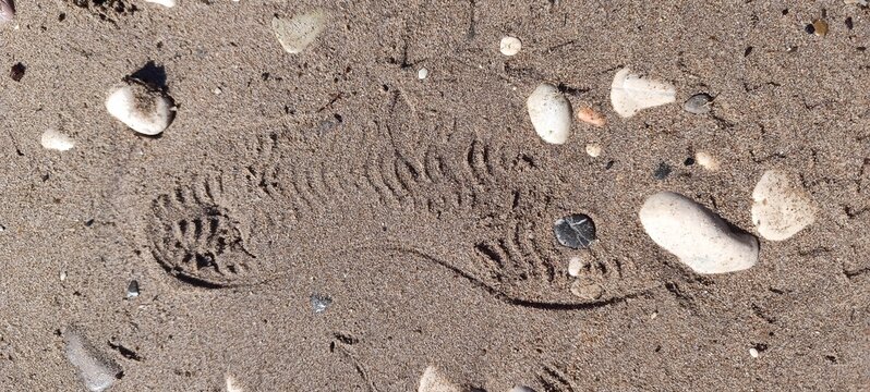 Close-up photo of a shoe footprint imprint stamped into wet sandy ground strewn with small stones and pebbles.