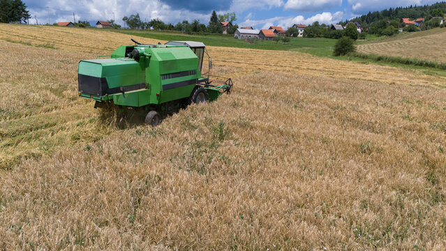Side view of a combine harvester cutting wheat in an agricultural field, Bosnia and Herzegovina