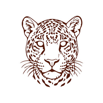 panther head vector