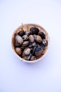 Fresh Clams in a wicker basket on white background