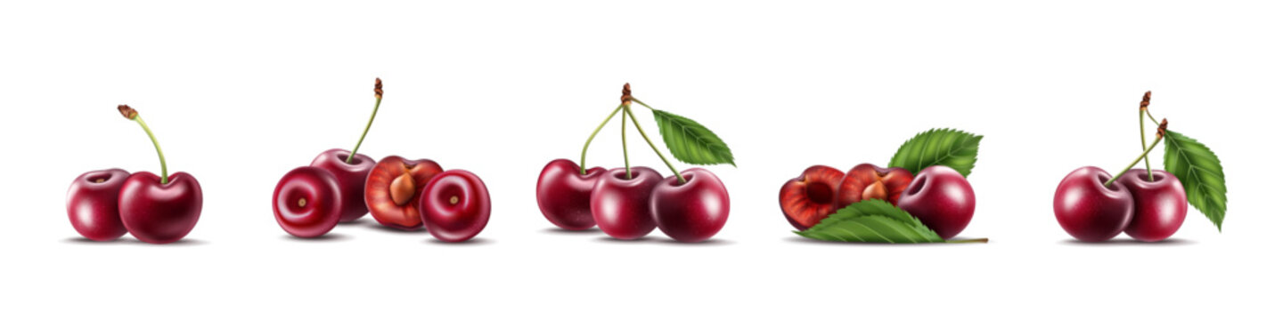 3D cherry. Realistic berry, sour berry. Ripe cerasus, half of dessert. Natural harvest. Red food for fruit yogurts, jams. Set of glossy whole cherries with stems, green leaves. Vector garden element