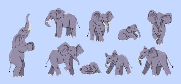 Elephant. Large African animal with trunk, tusk. Baby cute cartoon family. Adult wildlife mammals of Savannah. Nature character. Different poses walking, sitting. Vector tidy illustration isolated set