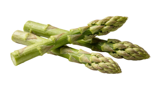 Fresh green asparagus spears with textured tips
