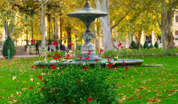 City park with flower, trees and fountain in autumn season with promenade, and colorful landscape, Zagreb, Croatia