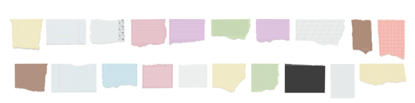 Torn notebook paper scraps with lined and grid patterns
