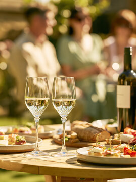 Elegant Outdoor Wine Tasting with Friends and Gourmet Food