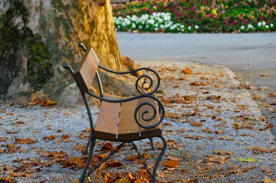 Wooden bench in the park and fallen autumn leaves on the ground, autumn colorful peaceful scene , outdoor furniture