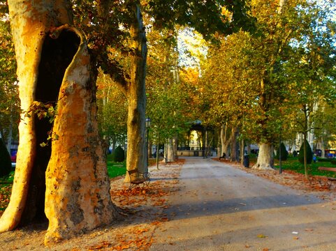 City park with flower, trees in autumn season with promenade, and colorful landscape, Zagreb, Croatia
