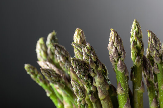 Fresh asparagus with water drops.