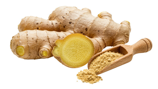 Fresh ginger root with sliced piece and wooden scoop of ground ginger powder