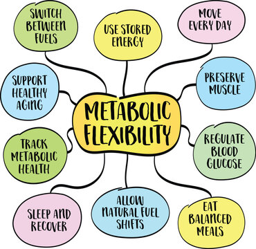 Mind map illustrating metabolic flexibility and the body's ability to switch between glucose and fat as energy sources. A science-inspired concept.