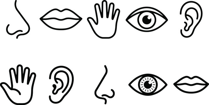 Set of five human sense organs icons including nose, mouth, hand, eye, and ear in simple line art style
