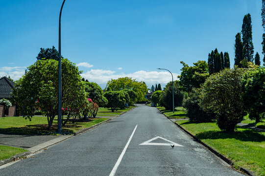 A clear view of a tree-lined empty road with houses on either side under a blue sky