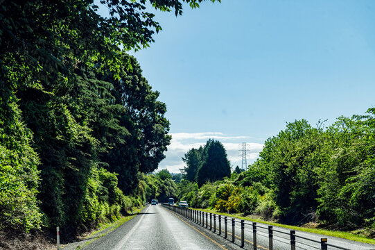 Vehicles travel on an asphalt road with green foliage lining each side under a clear blue sky
