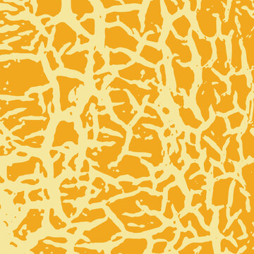Abstract Orange and Yellow Camouflage Pattern Background. Organic Melon Skin Texture