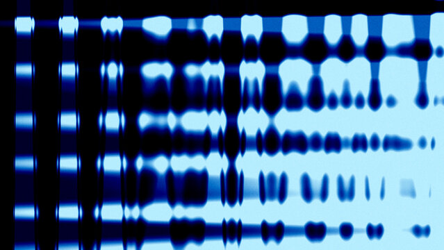 Blue abstract optical pattern with distorted glowing rows and columns