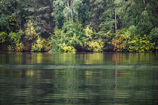 Ripples in the water with colorful trees in the background at a lake near Soldotna, Alaska on a summer day.