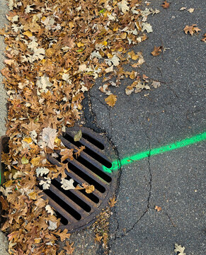 a storm drain grate and curb inlet painted with bright green survey or maintenance marking spray in autumn with leaves accumulated