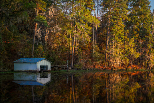 Cypress Swamp Landscape at Caddo Lake, Texas