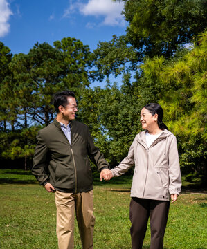 Happy mature Asian couple holding hands, walking and enjoying leisure time together in green park on sunny day, happy marriage, senior love
