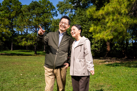 Happy mature Asian couple holding hands, walking and enjoying leisure time together in green park on sunny day, happy marriage, senior love
