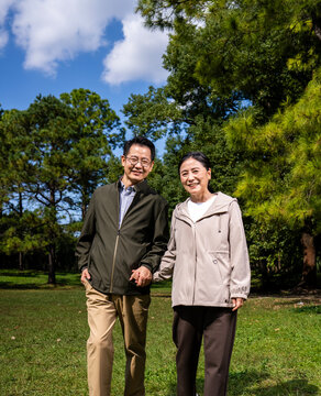 Happy mature Asian couple holding hands, walking and enjoying leisure time together in green park on sunny day, happy marriage, senior love
