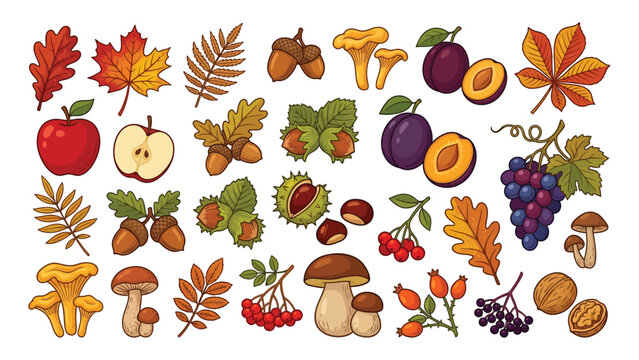 Colorful autumn themed collection of fruits mushrooms nuts and leaves in flat illustration style