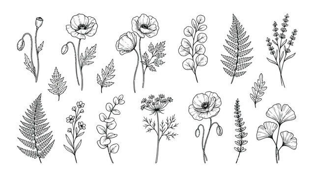 Collection of black and white line drawn plants and flowers arranged in a grid pattern with structured grid format
