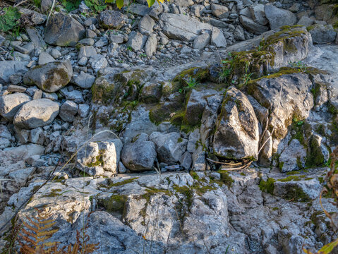 Felsen und Steine in einem ausgetrockneten Bachbett, Gebirgsbach, Kleinwalsertal, Kleines Walsertal, Alpen, Vorarlberg, &Ouml;sterreich