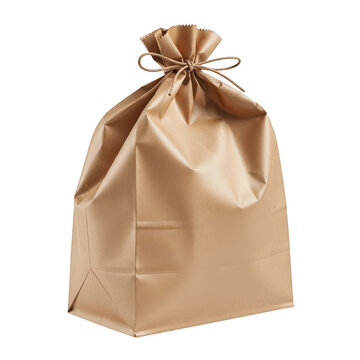 Brown kraft paper gift bag with twine closure