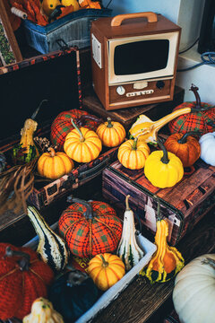 vintage television resting on patterned suitcase surrounded by autumn pumpkins, retro wooden radio near glowing lamp featuring seasonal knitted squash decoration