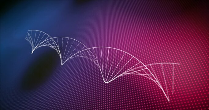 White dotted waveform arcs sweeping across dense dot grid over blue purple magenta red gradient